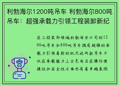 利勃海尔1200吨吊车 利勃海尔800吨吊车：超强承载力引领工程装卸新纪元